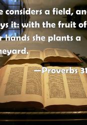 proverbs 31 16 17 niv